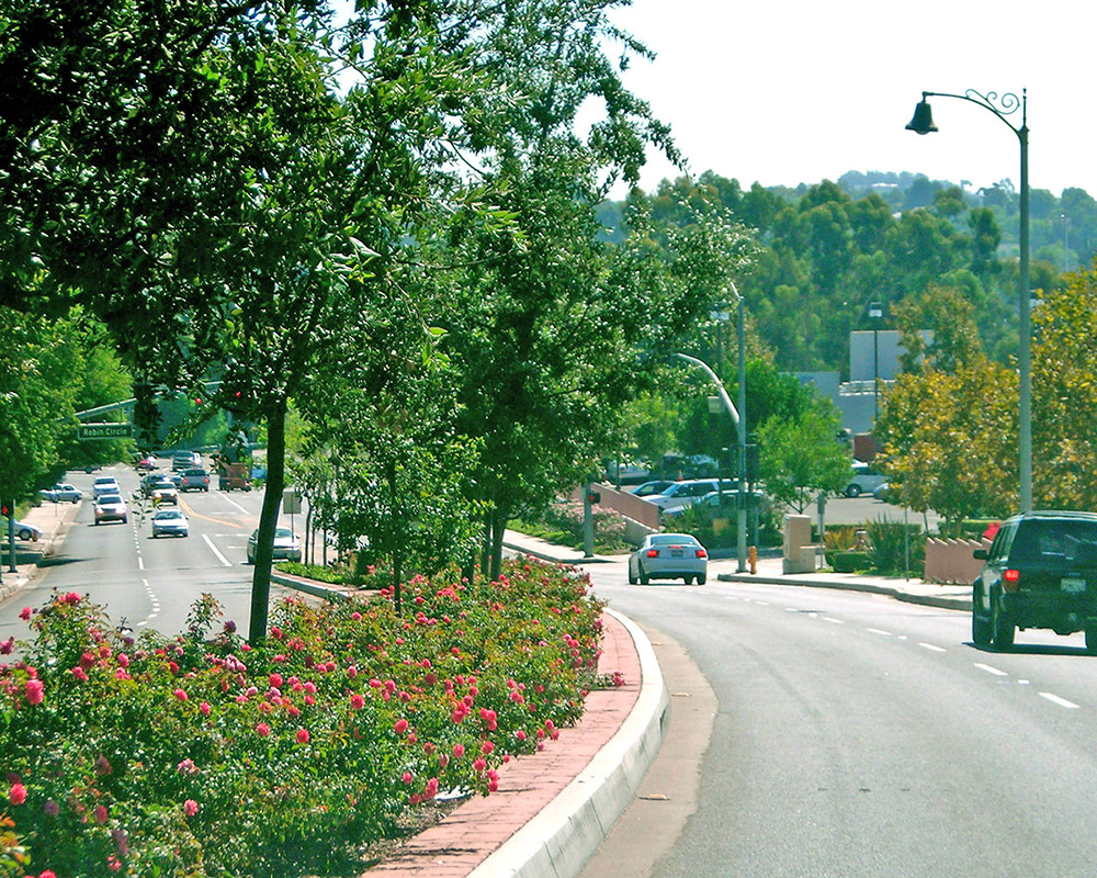 RJMDesignGroup » Muirlands Blvd