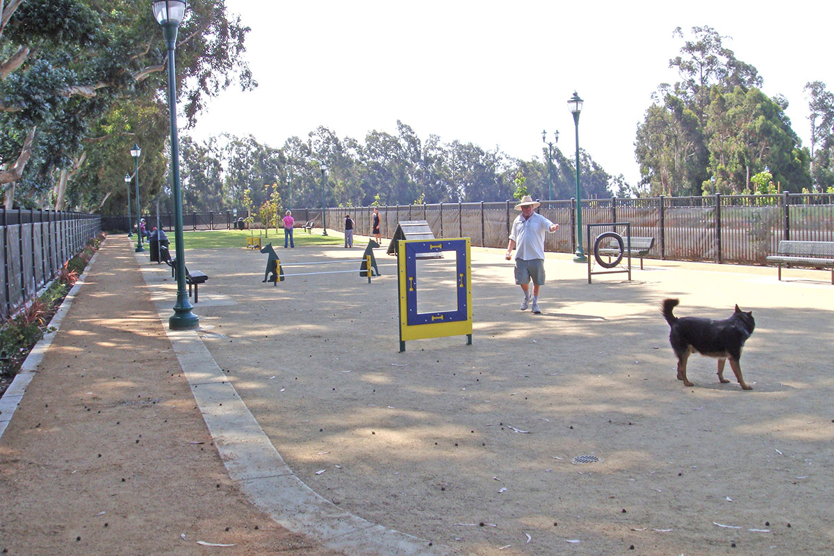 Dog Park at College Park Community Park