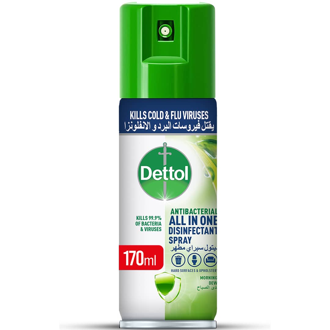 Dettol Antibacterial All in One Spray 170ml RK ESSENTIALS