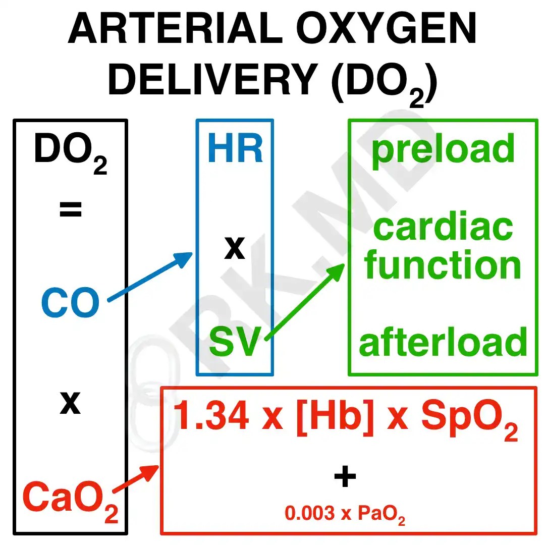 Oxygen Delivery Equation (DO2) | RK.MD