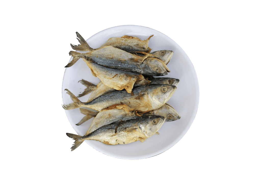 R K Dry Fish About Us Best Dry Fish Sellers in India No 1 Taste