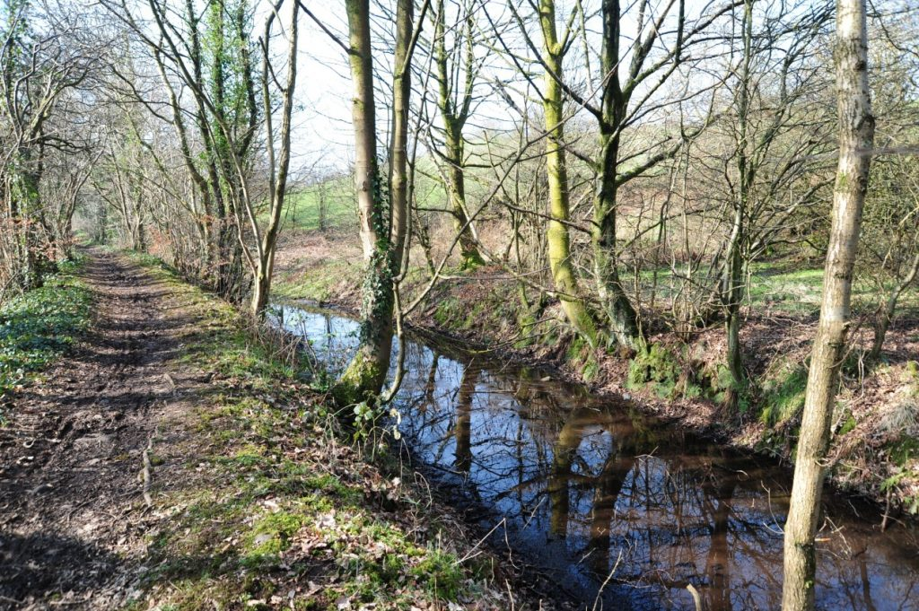 The Kilbarchan Linen Merchants, 1 The Speirs Family Renfrewshire