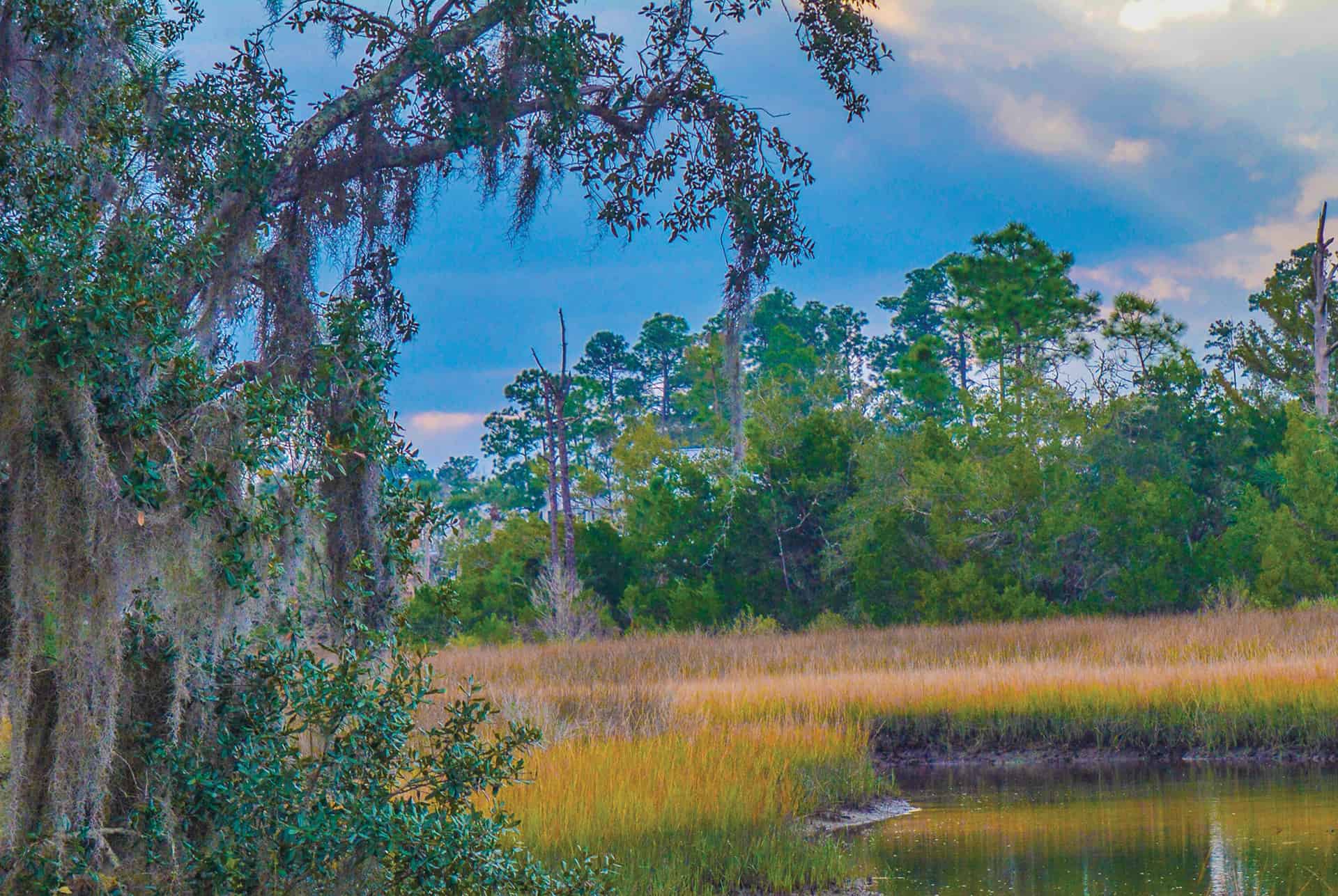 Rural Lands Stewardship Area of Collier County, Florida RLSA Facts