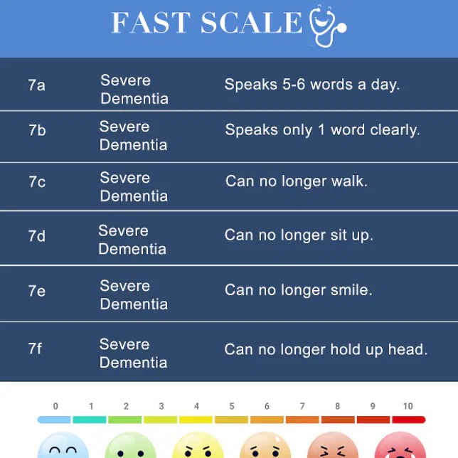 FAST Dementia Scale / Hospice Cheats Badge Zazzle