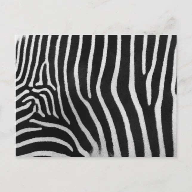 Zebra Stripe Pattern Postcard Zazzle