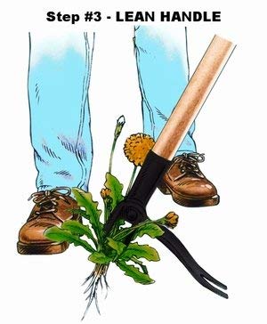 Grampa's Weeder - The Original Stand Up Weed Puller Tool with Long