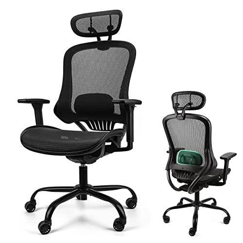 Mysuntown Ergonomic Office Chair, Ergo Mesh Desk Chair High Back Rolling Computer Desk Chair