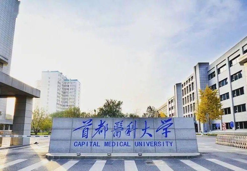 Best Education Consultant in Islamabad RMC Consultancy