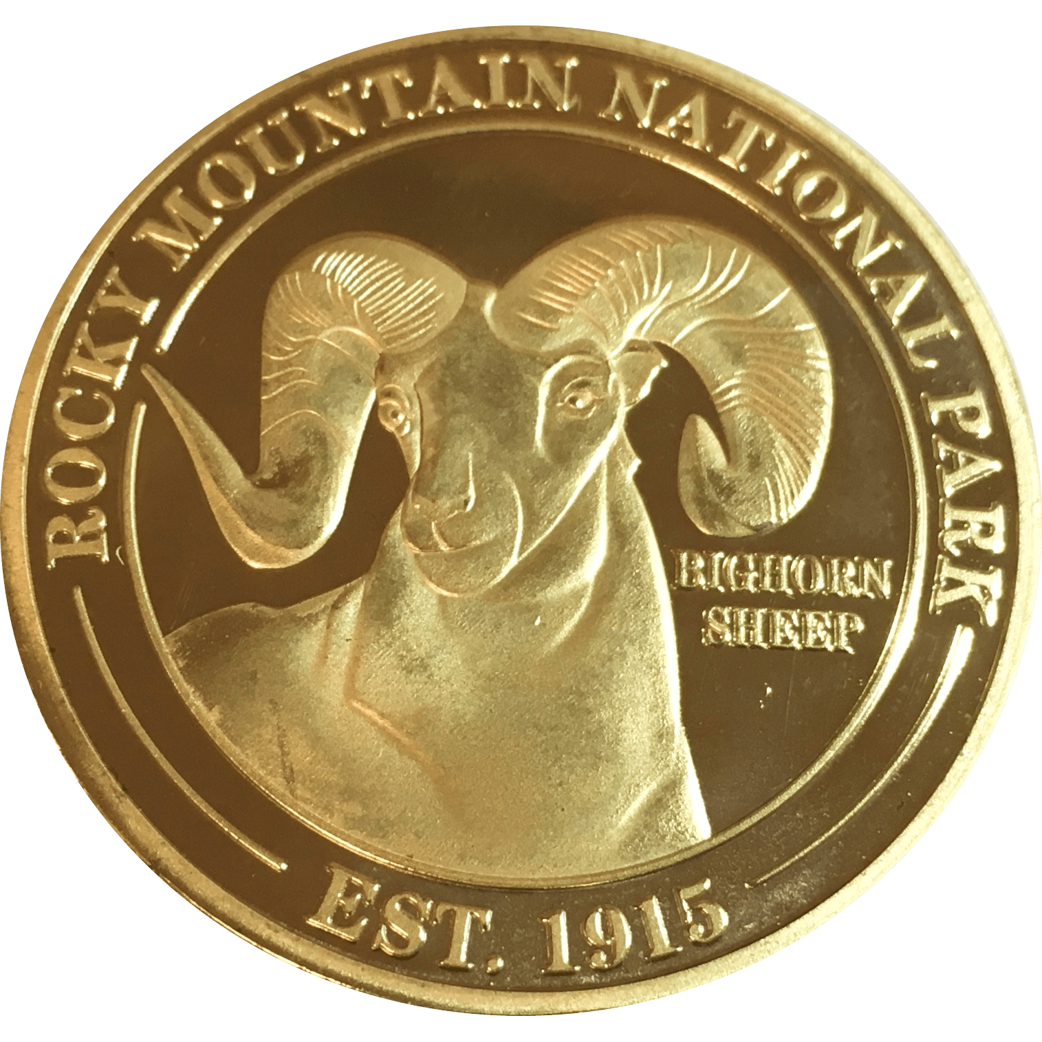 Mountain Of Gold Coins The Hobbit