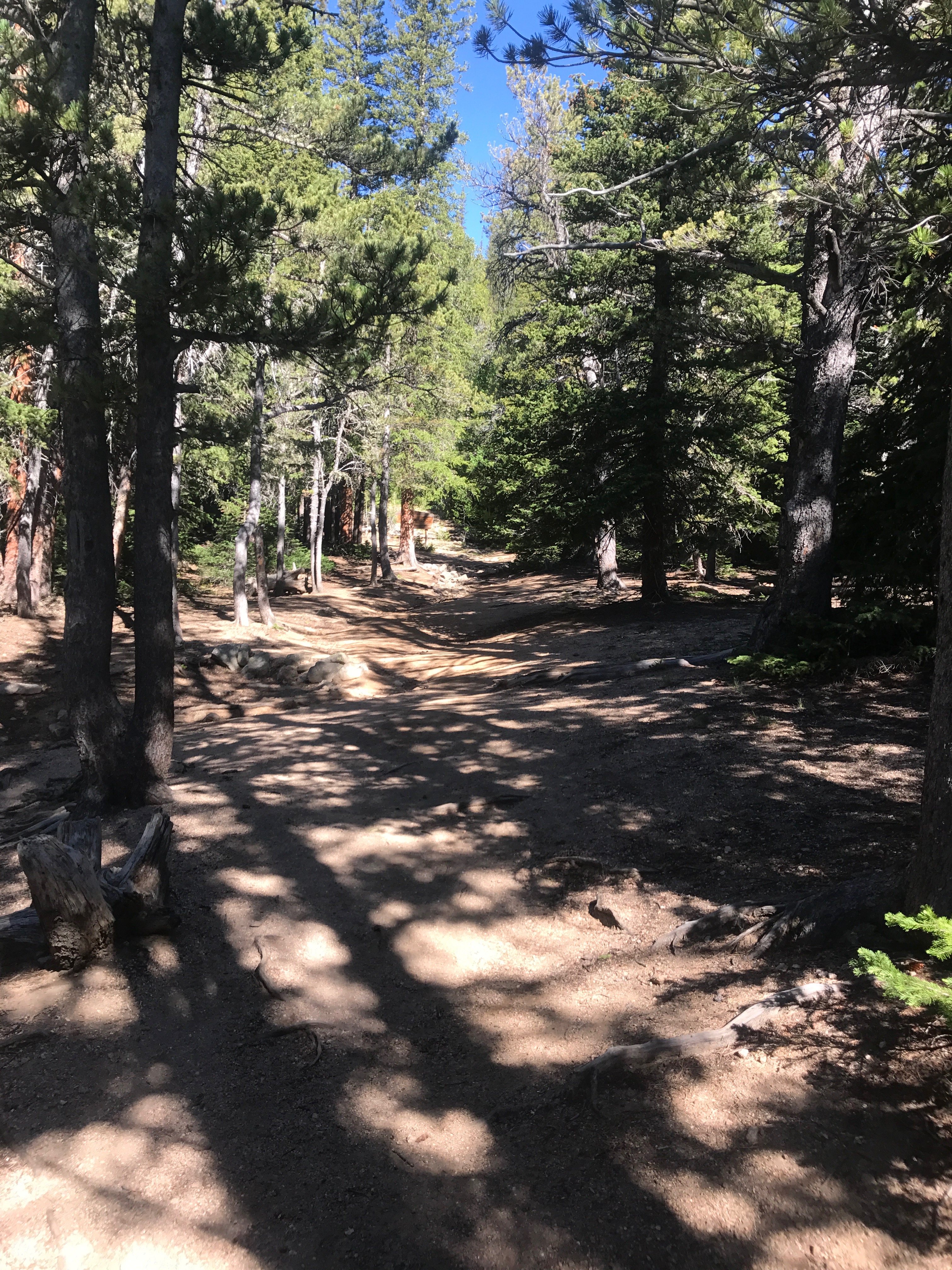 IMG_0618 Rocky Mountain Conservancy Conservation Corps