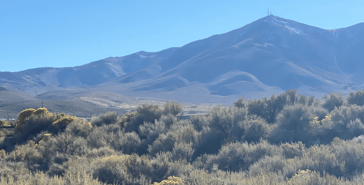 FOR SALE MULTIUSE LAND IN RENO, NEVADA