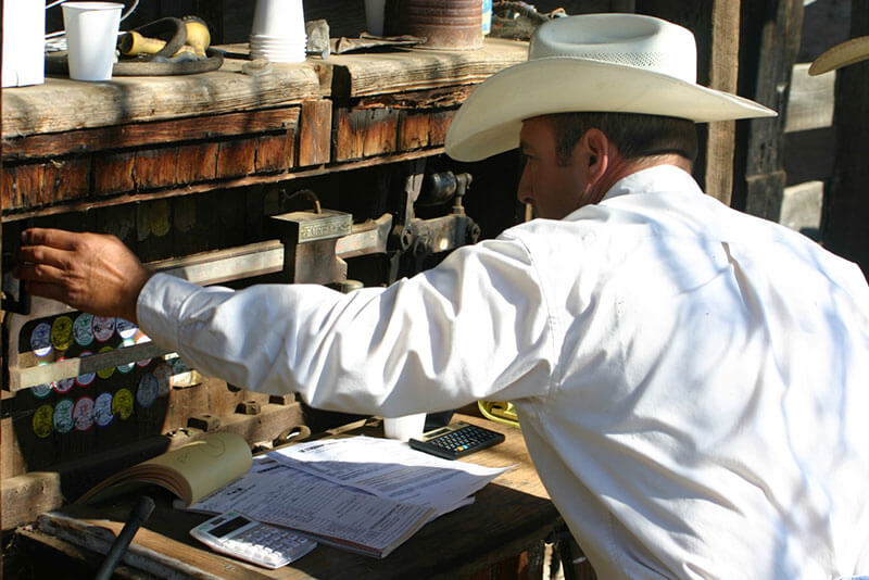Livestock Services Rick Machado Livestock Livestock Auctioneering