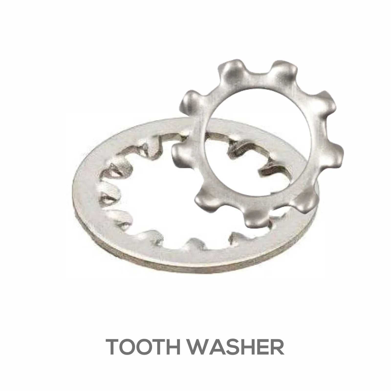 TOOTH WASHER