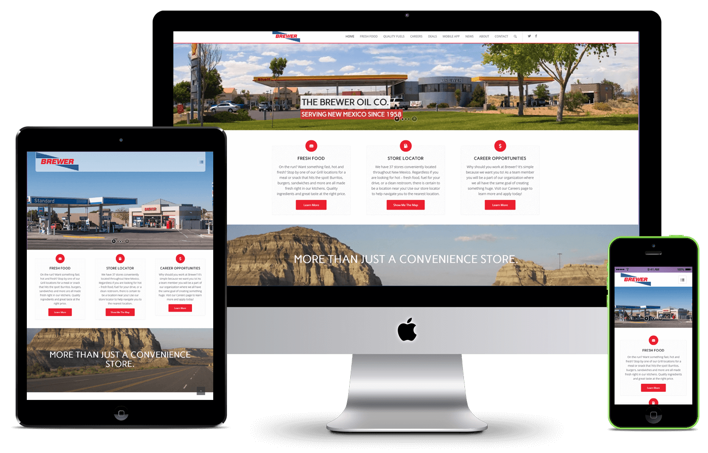 Affordable Web Designs RMMS Albuquerque, New Mexico