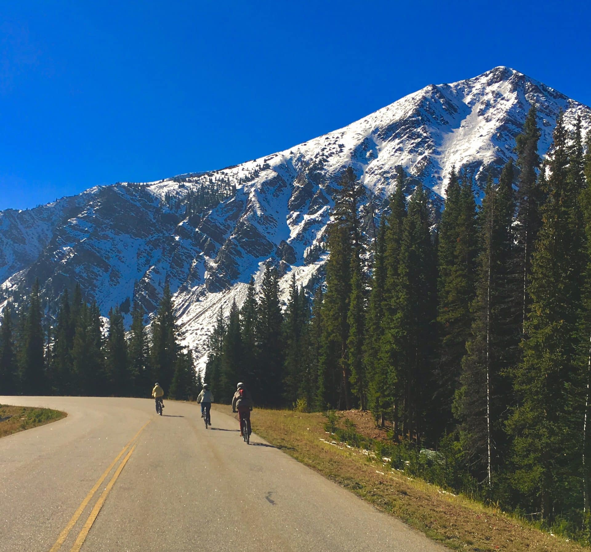 collegiate peaks bike Rocky Mountain Outdoor Center