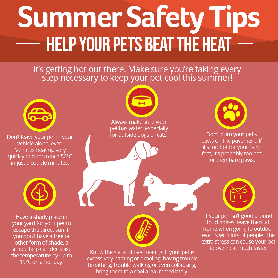 SummerSafetyTipsPets Rural Municipality of St. Clements
