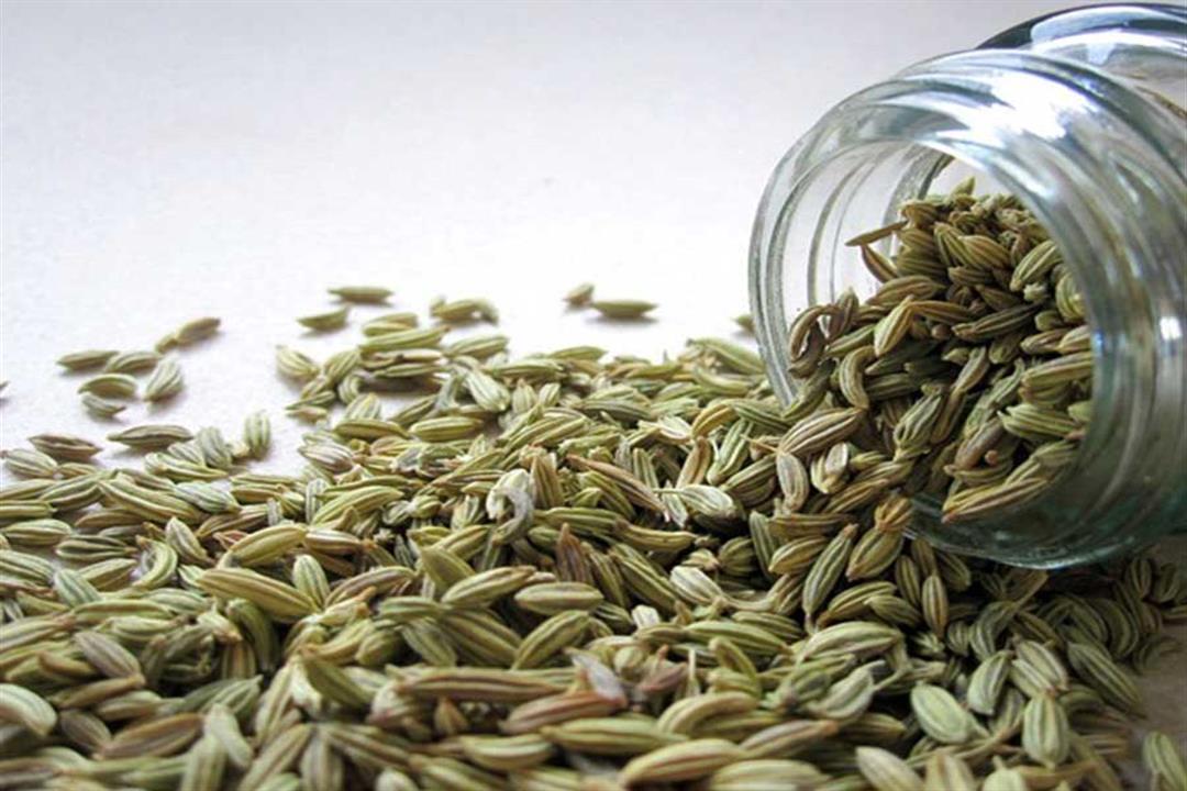 ماهي فوائد الشمر؟ وكل ما تريد معرفته عن هذا النبات الطبي موقع رموش