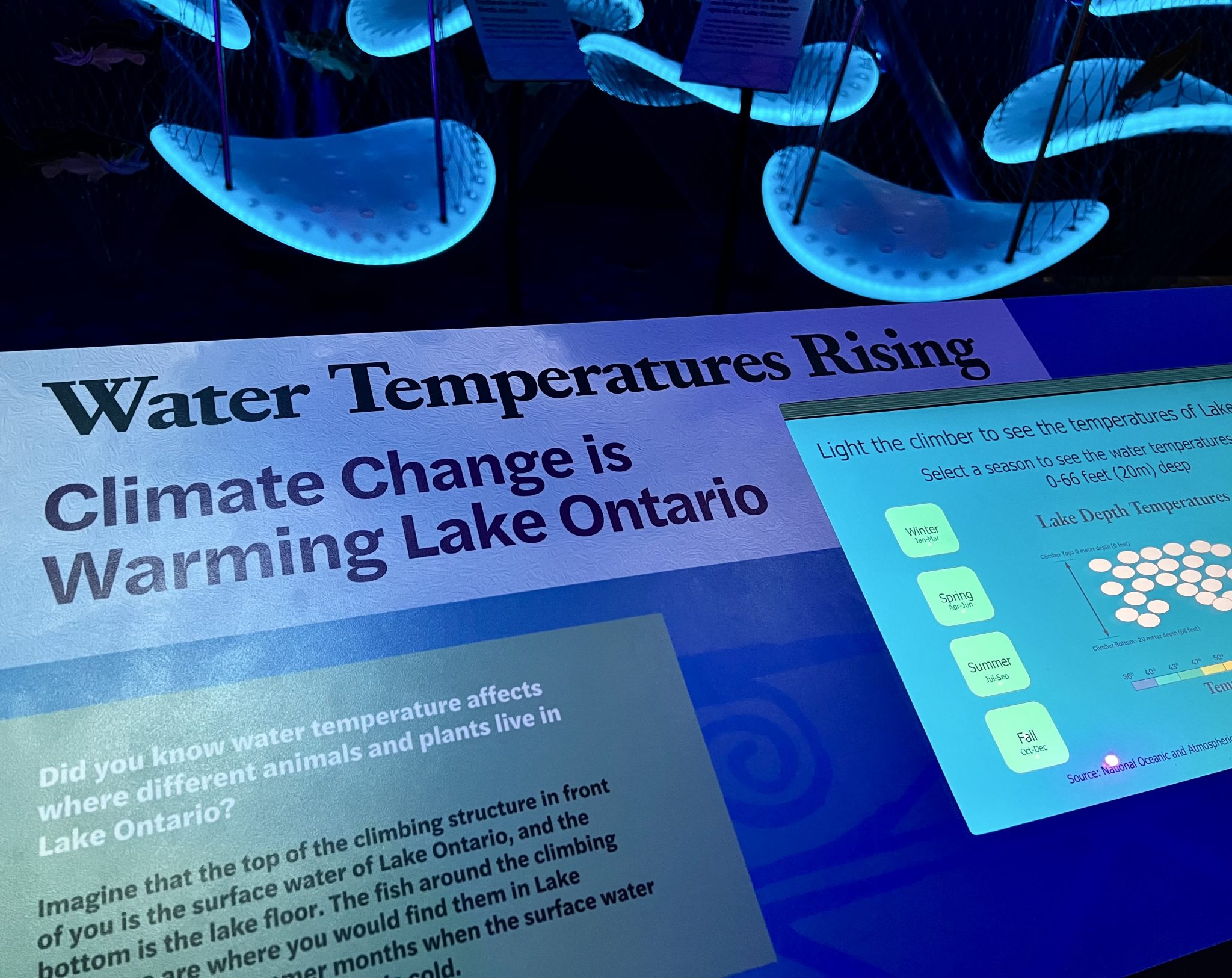 The RMSC Unveils New Exhibit Wonders of Water Rochester Museum