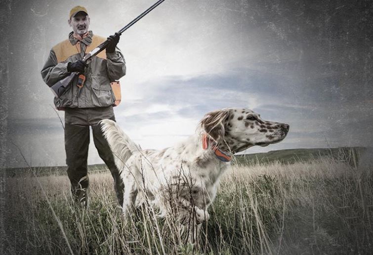 SportDog Rocky Mountain Sporting Dog Club