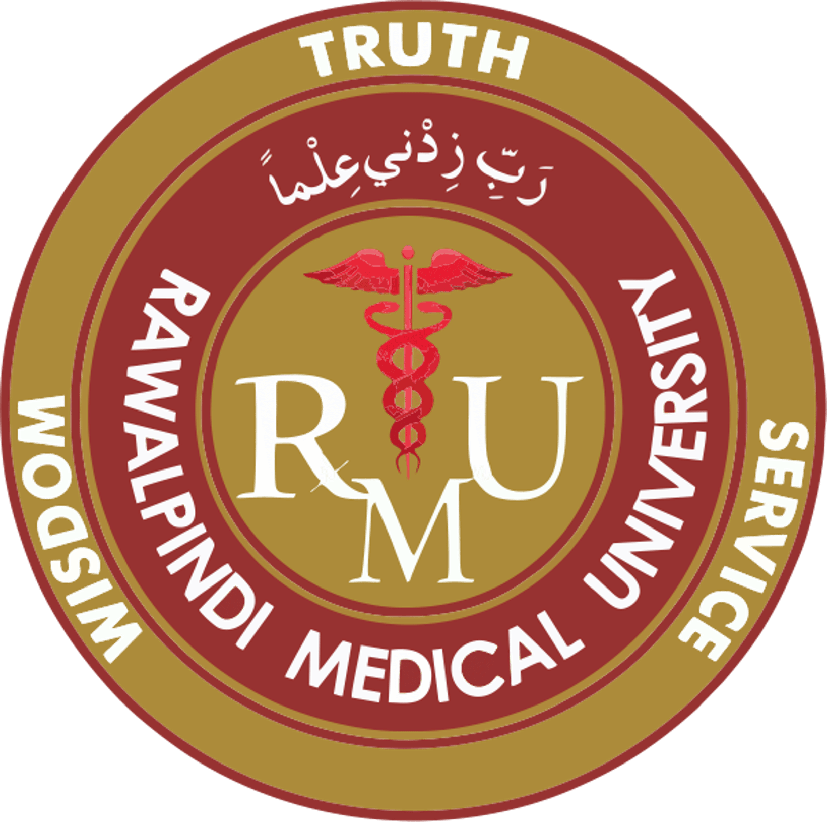 Vacany Positions at RMU (Last Date 10th May 2024) RAWALPINDI MEDICAL