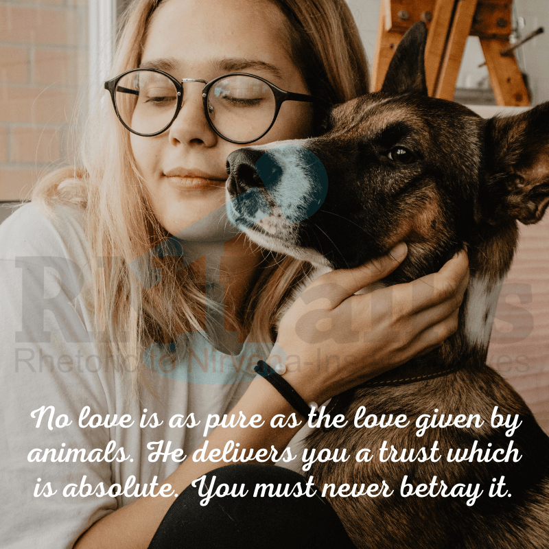 14 Best Dog Love Quotes For Dog Lovers and Pet Parents RNTalks