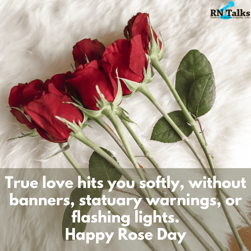 Best Rose Day Quotes and Messages For Your Valentine RNTalks