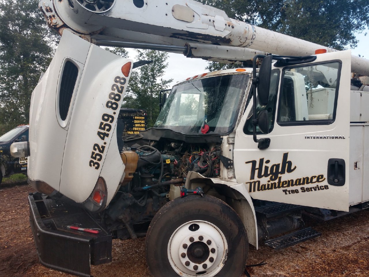 Roadrunner Auto Glass Repair, Replacement Windshields, Cars, Trucks