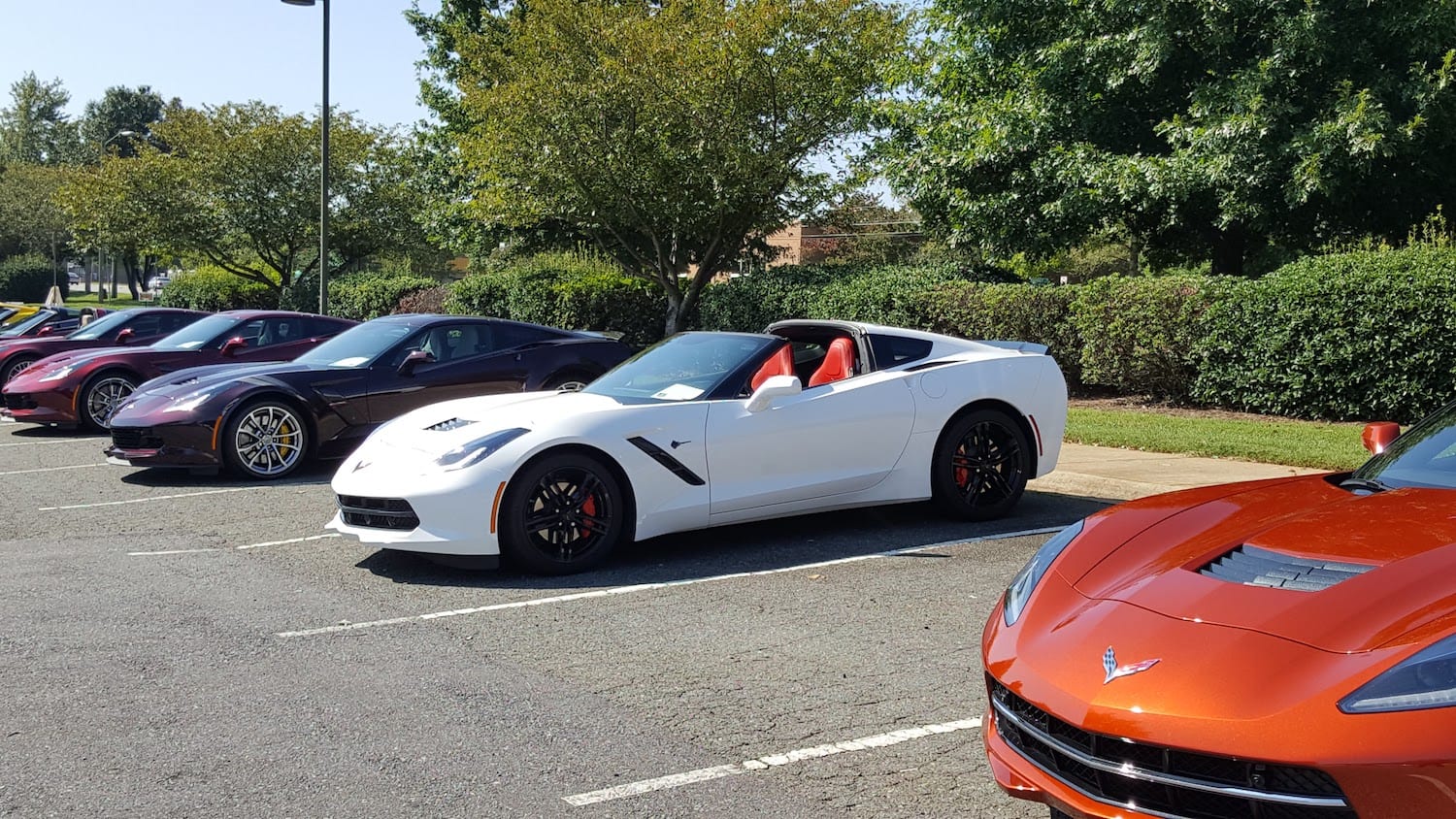 Road Runner Vettes Friendship Car Show