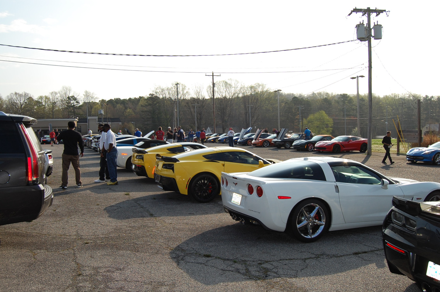 Road Runner Vettes Albemarle Cars & Coffee