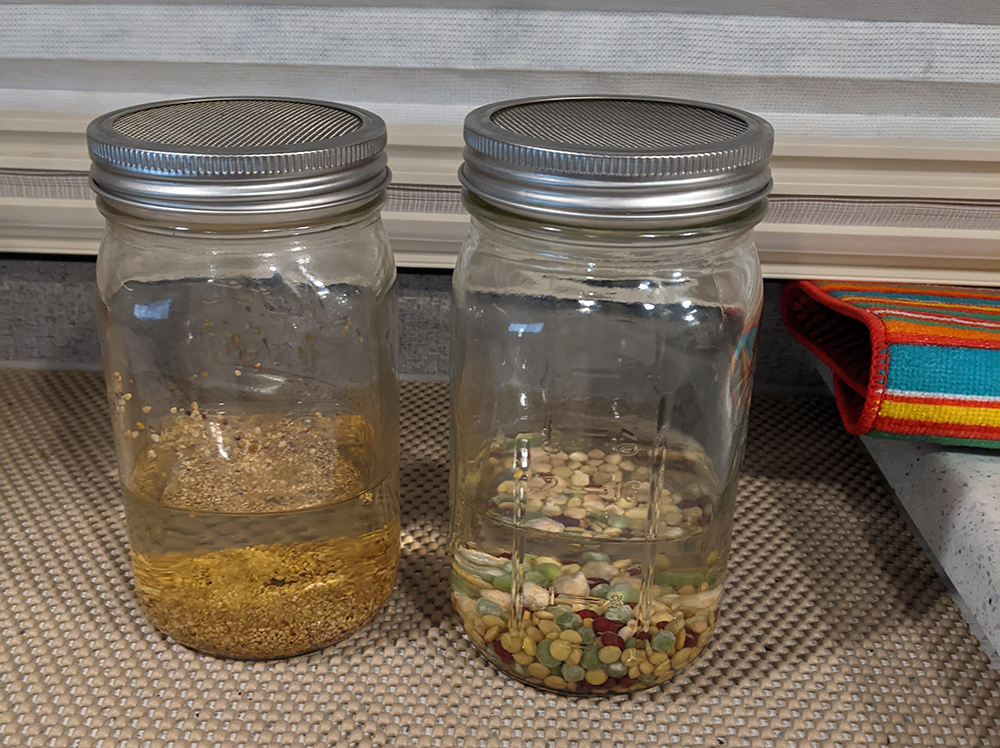 Sprouts in a Mason Jar Roads to Everywhere