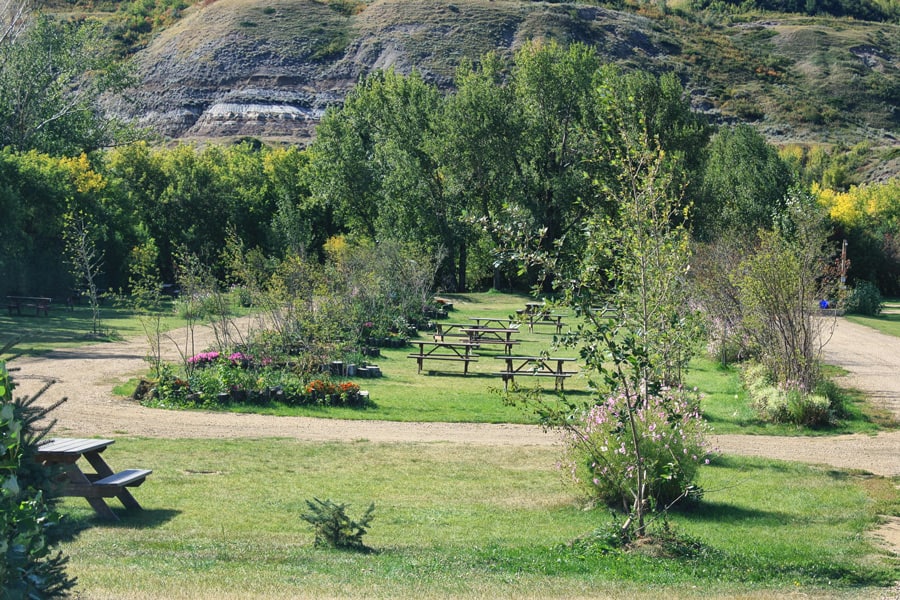The 10 BEST Drumheller Camping Spots (for 2024)