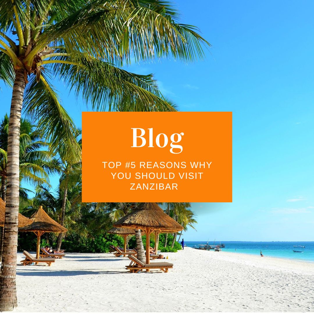 Top 5 reasons why you should visit Zanzibar Road Trippers