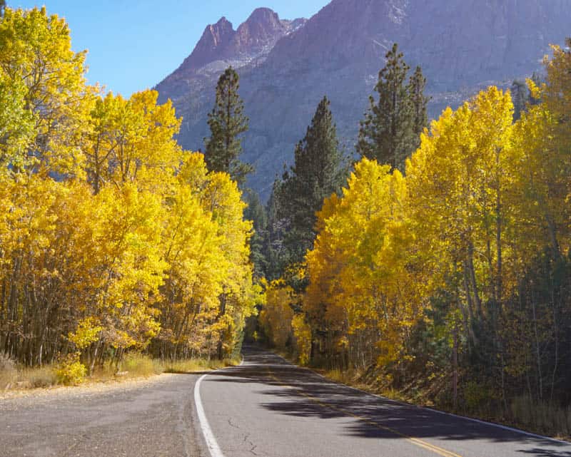 June Lake Loop A Scenic Drive in the Eastern Sierra! Roadtripping