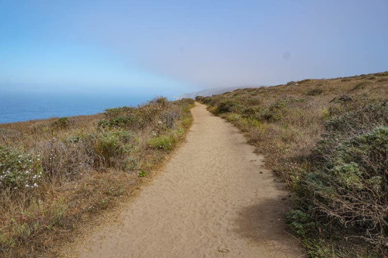 Tomales Point Trail A MustDo Hike at Point Reyes National Seashore
