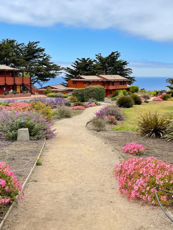 14 Best Things to Do in Cambria, California Stay, Play, and Eat