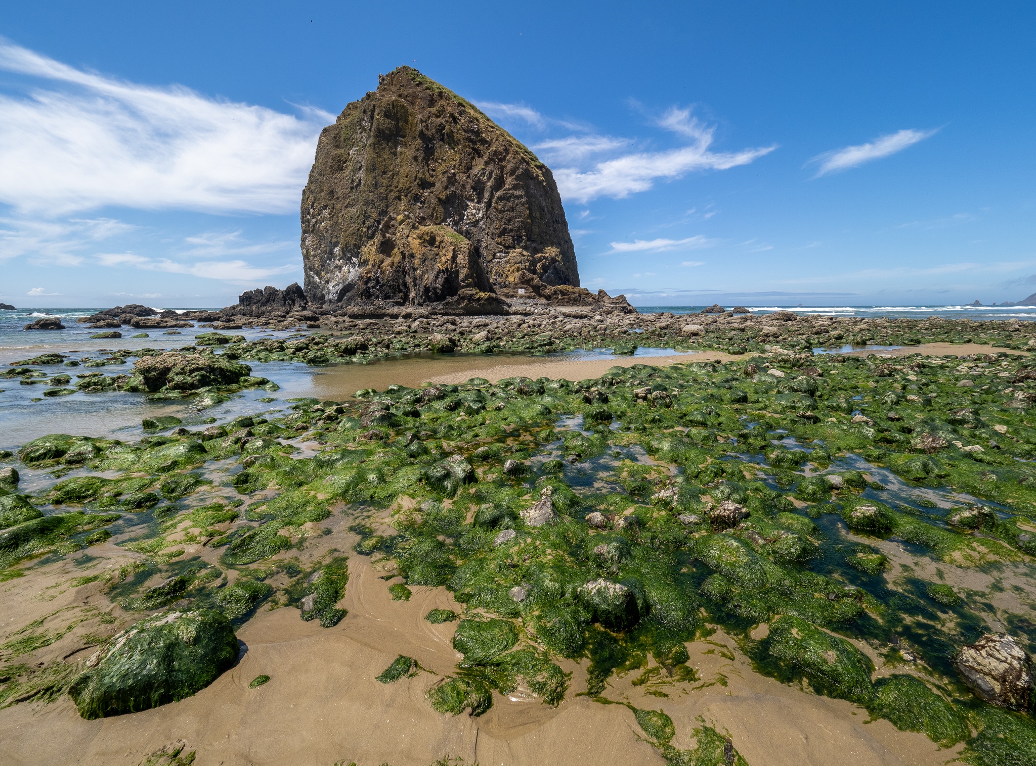 Exploring Cannon Beach, Astoria and Cape Disappointment Roadtripping