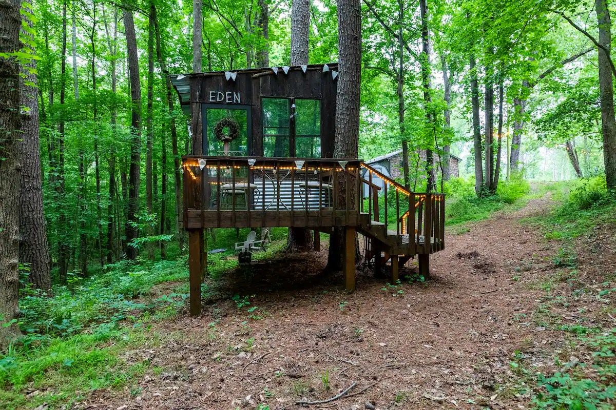 36 Epic Treehouse Rentals in You'll Love (2024)