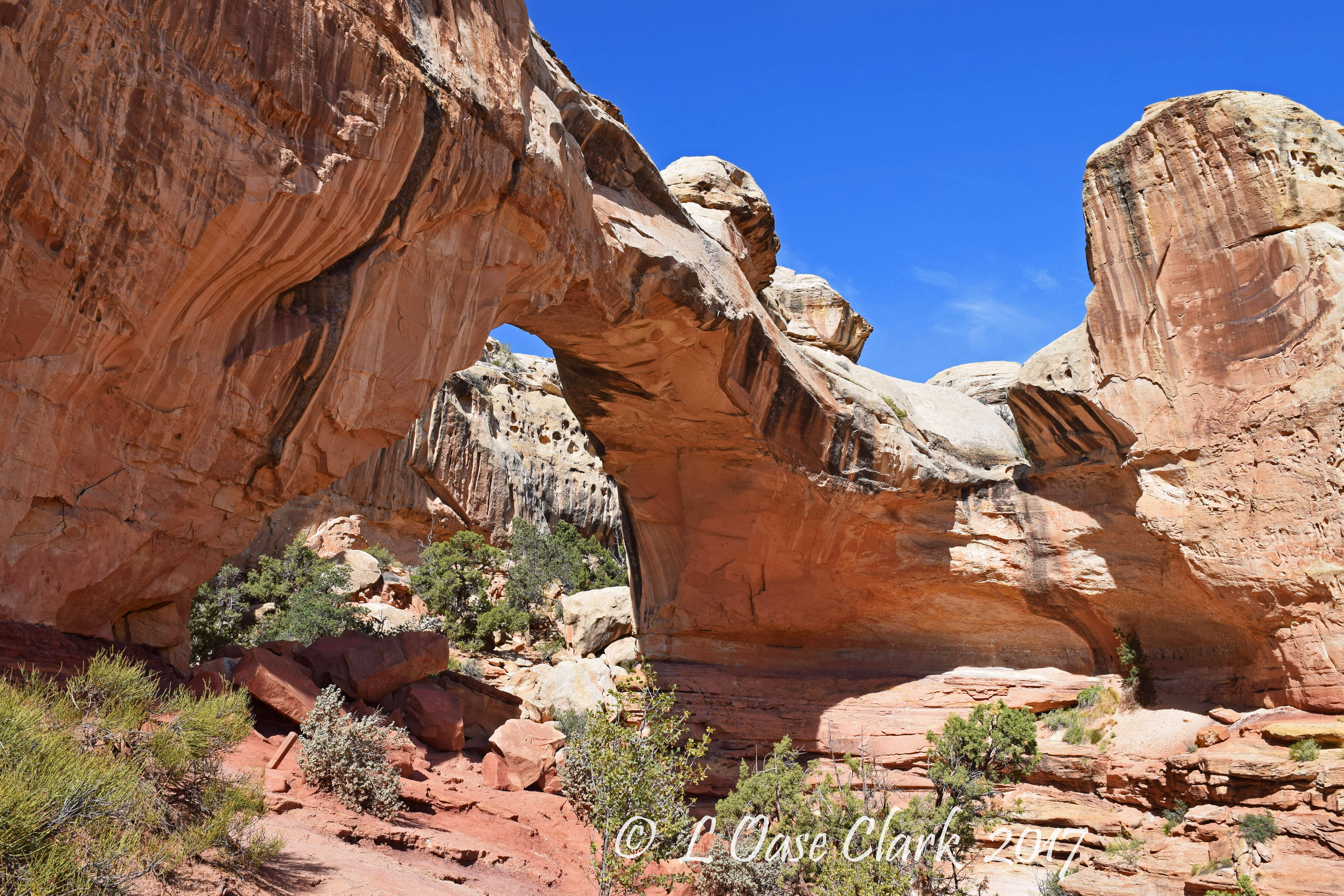 Hickman Bridge RoadWard Bound
