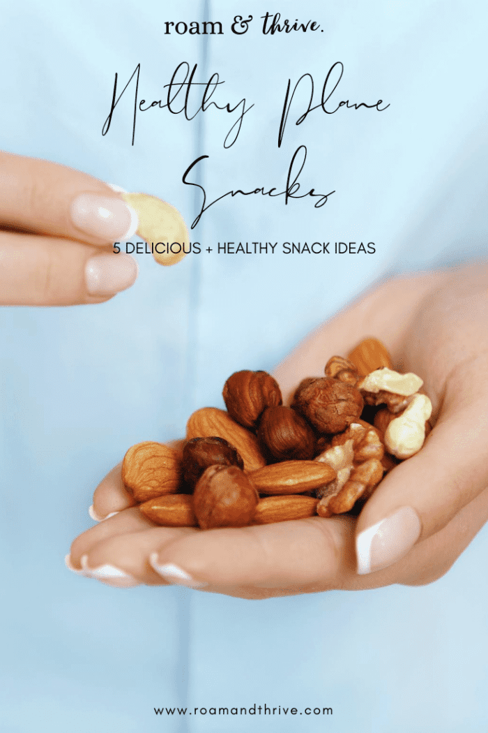 5 Healthy Plane Snacks for Your Next Flight Roam and Thrive