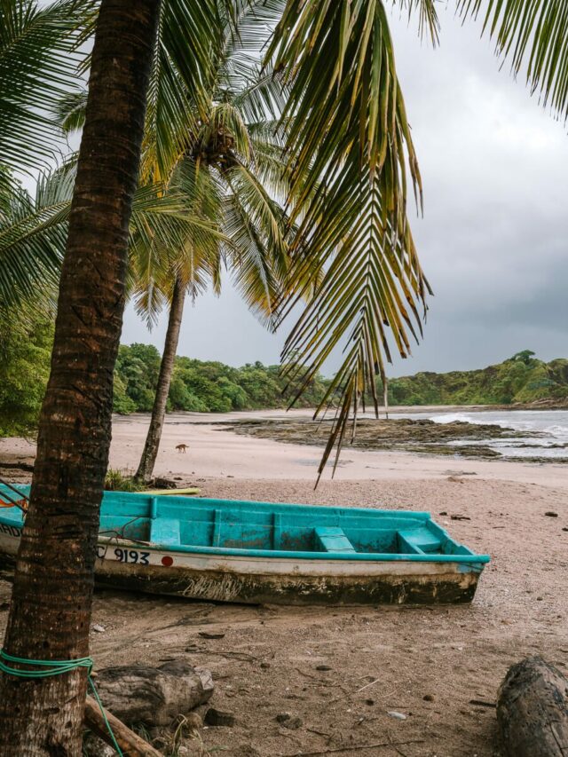 A Quick Travel Guide to Nosara, Costa Rica Roam and Thrive