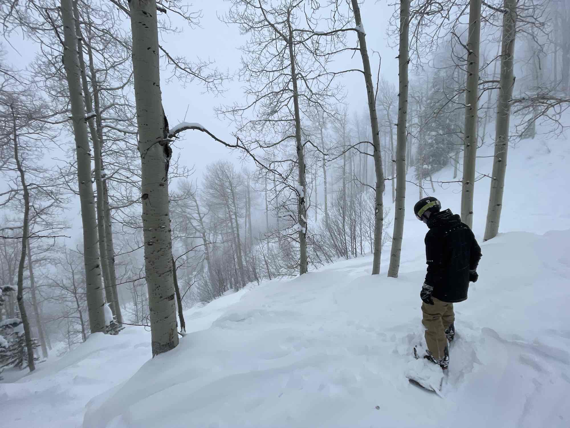 How To Snowboard In Powder Roam Chronicles
