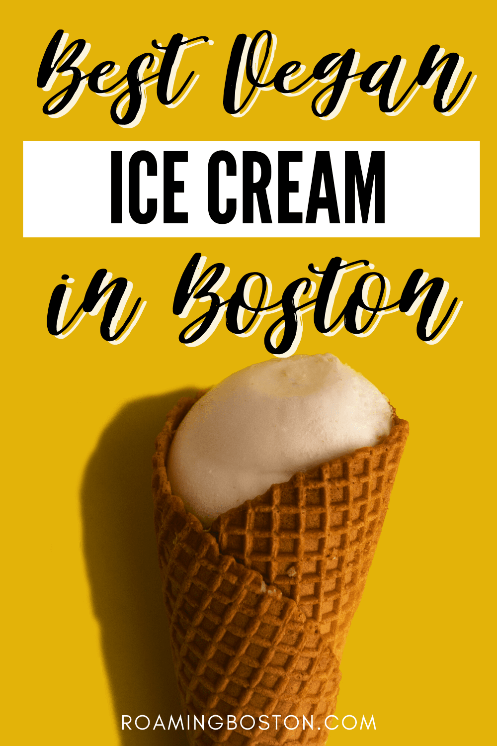 Local's Guide to Vegan Ice Cream Spots in Boston Roaming Boston