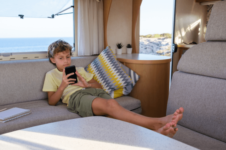 How to Mouse Proof a Camper 12 Tricks for a MouseFree RV Roaming RV