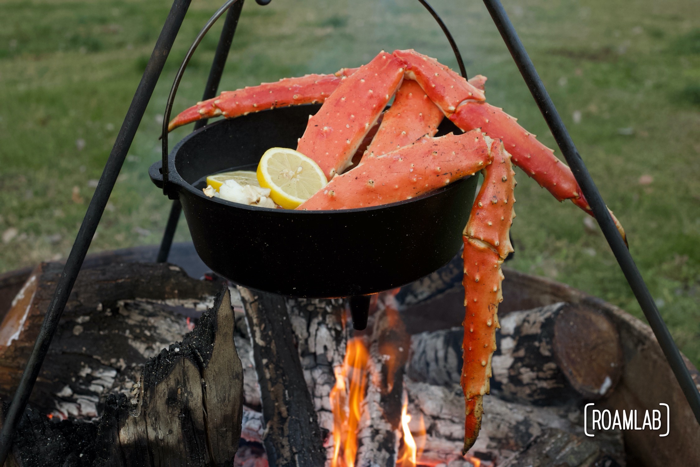 King Crab Legs Campfire Cooking Dinner Recipes Roam Lab