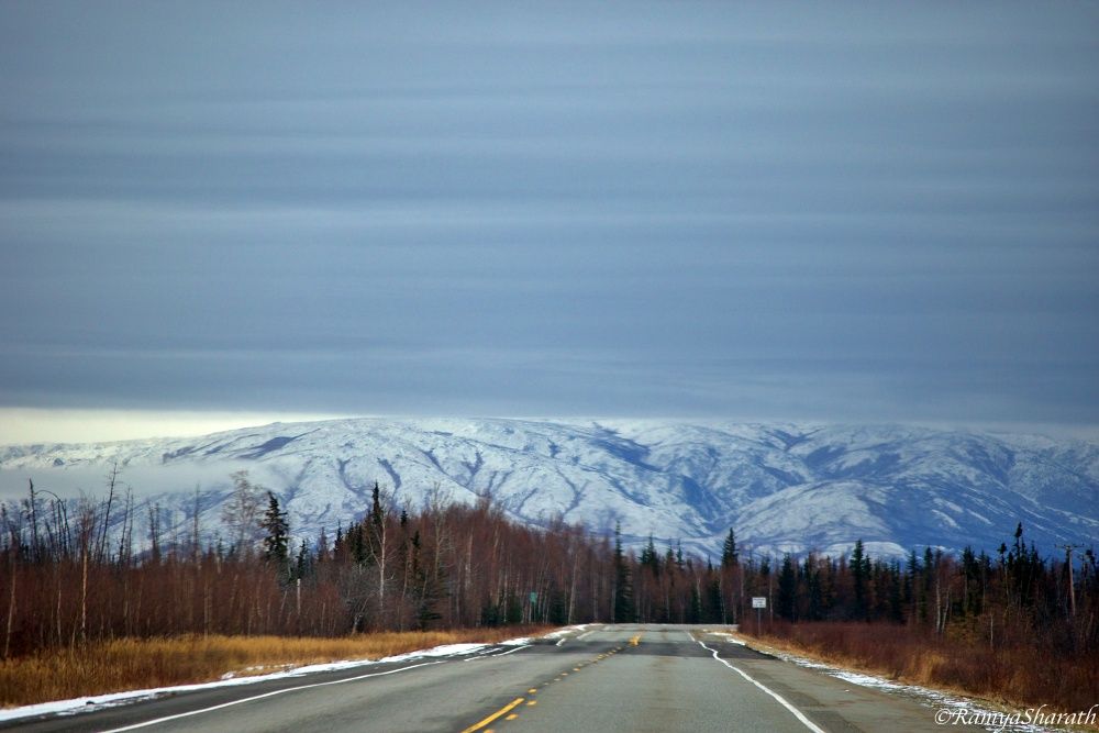 Winter Travel Guide To Alaska Explore Alaska with roamlikeus