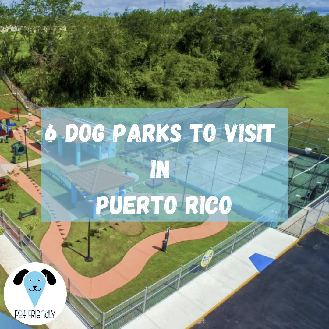 Best Dog Parks in Puerto Rico for 2023 Roam Puerto Rico