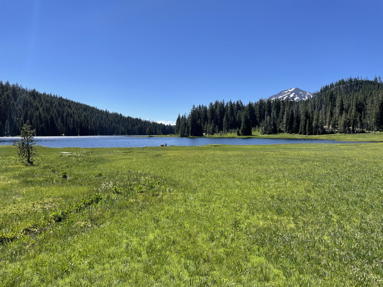Hiking Todd Lake The Best Hike for Kids near Bend Roam the Northwest