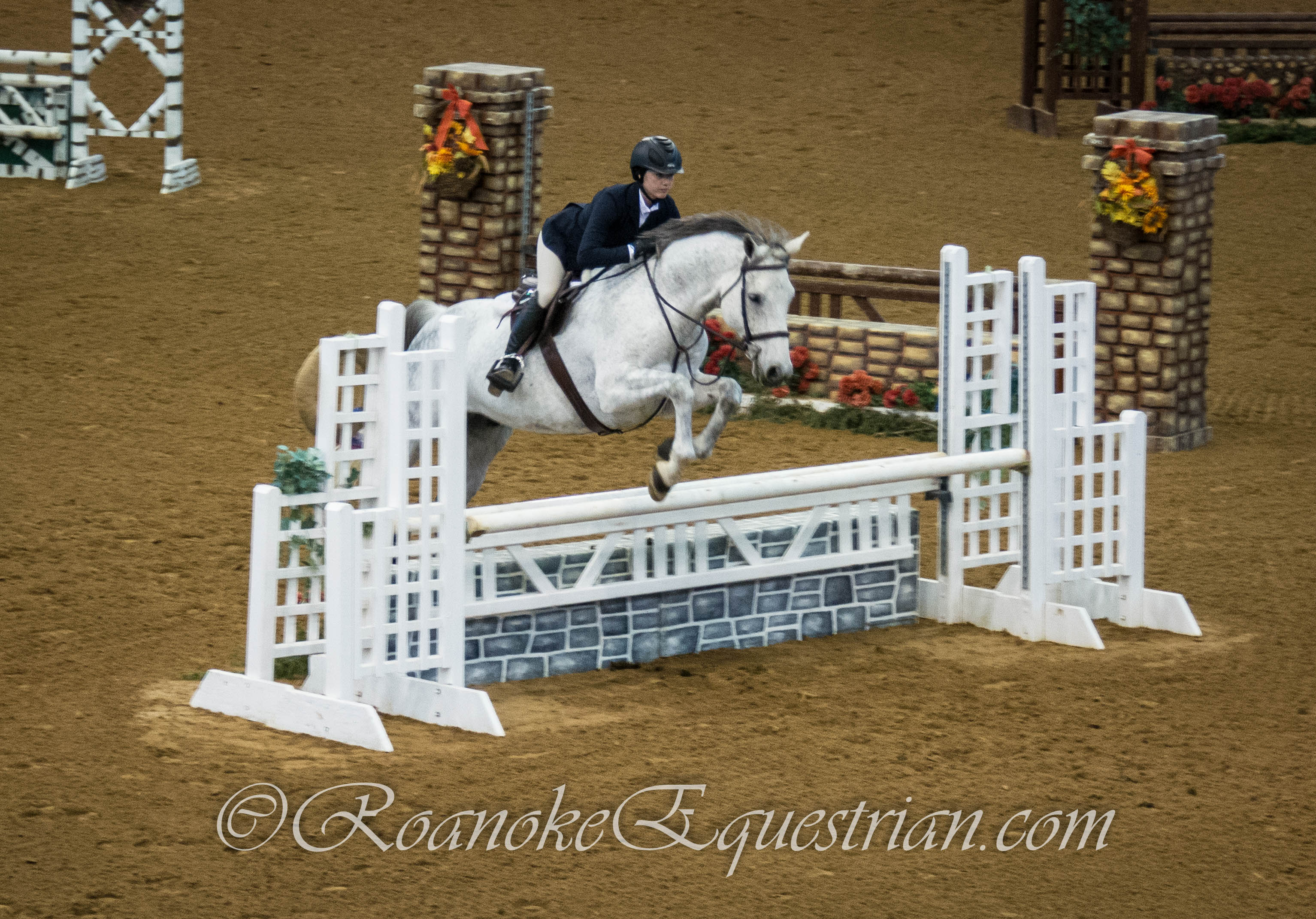 House Mountain Horse Show Build show experience in professional
