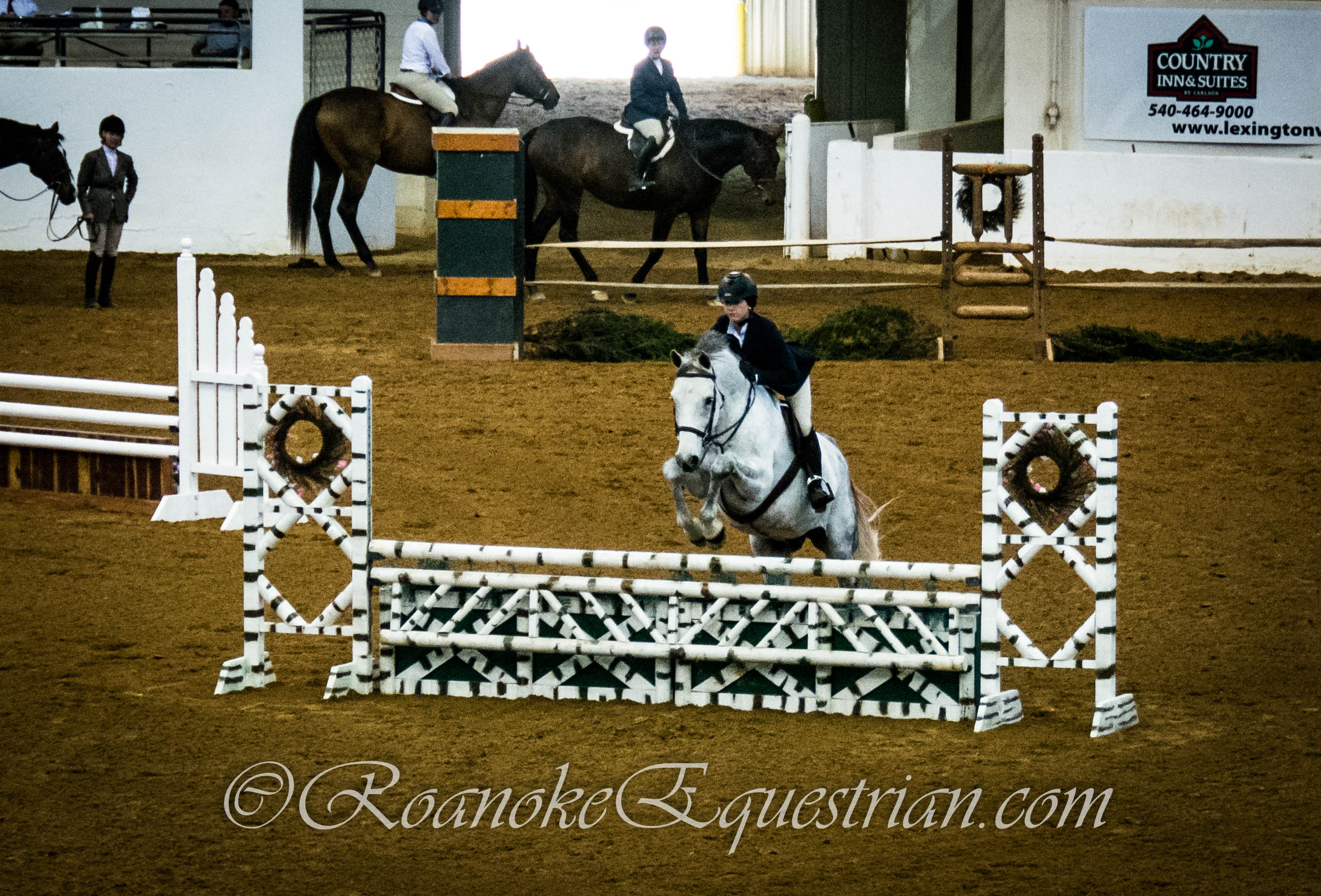 House Mountain Horse Show Build show experience in professional