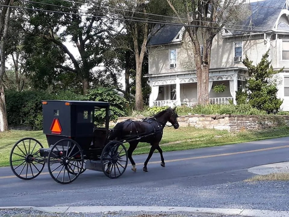 BACKROADS TOUR OF THE OLD ORDER MENNONITES DAYTON DAYS AUTUMN FESTIVAL
